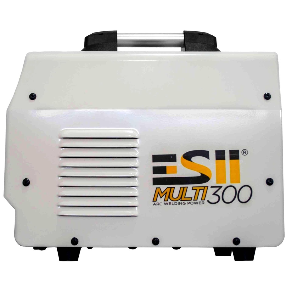 esii_multi300_imagen4.jpg