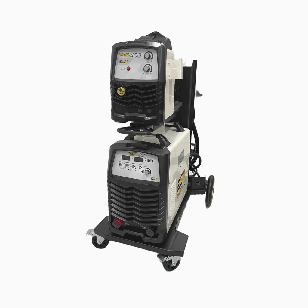 esii_rank400_vista_frontal_y_lateral.jpg